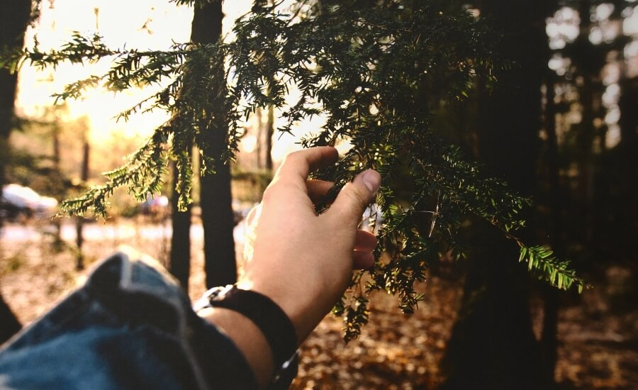 LA PAZ SE ENCUENTRA EN LOS PEQUEÑOS DETALLES